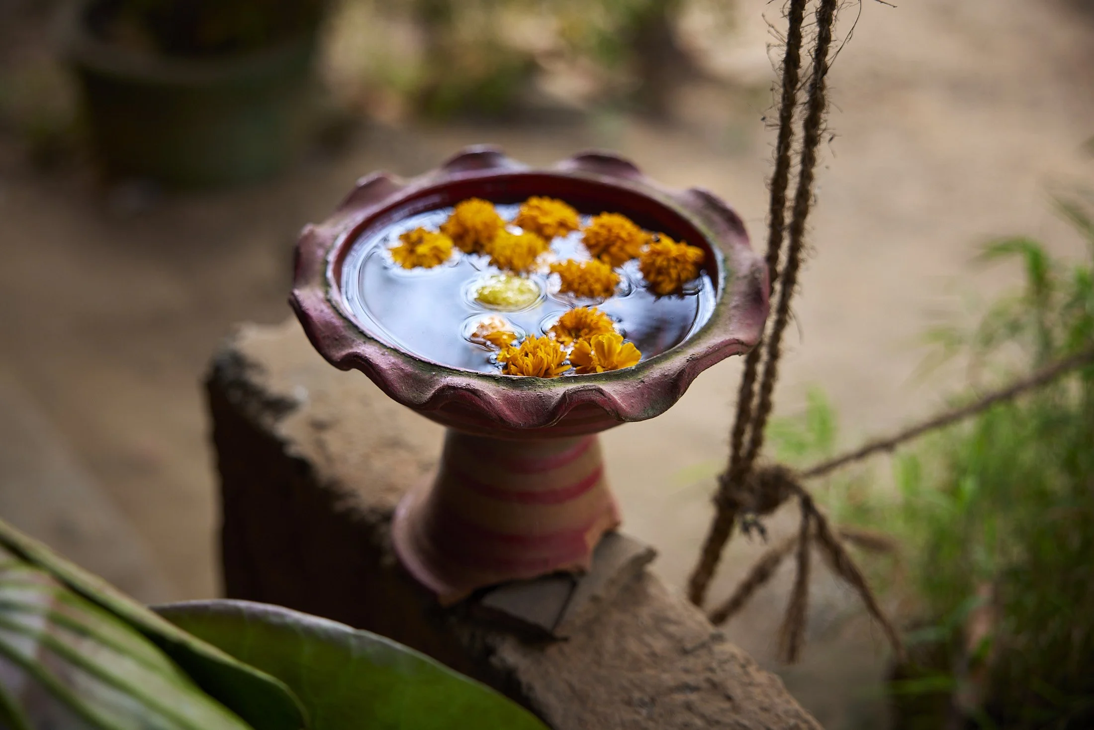 jimmy-galt_sri-lanka_21.jpg