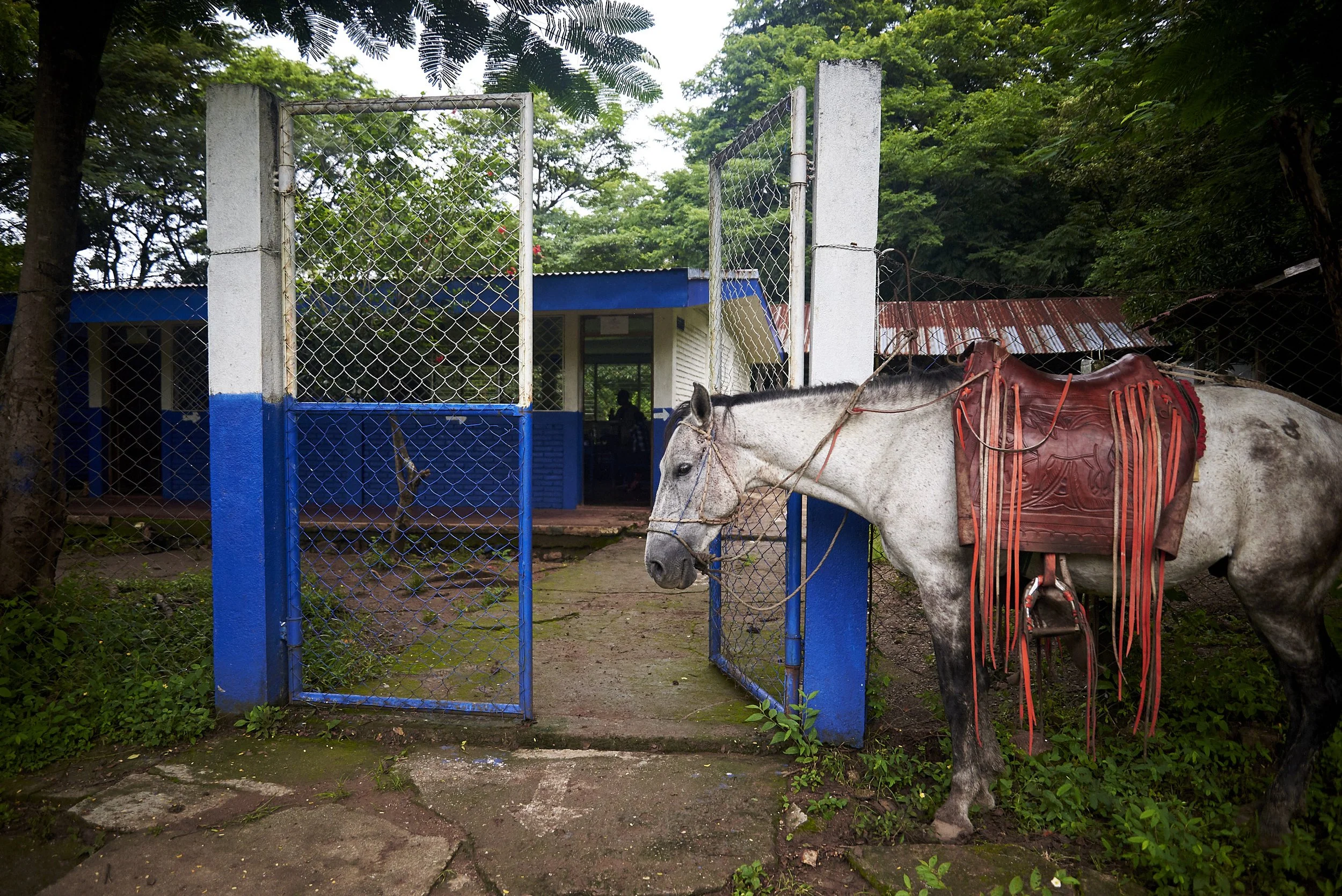 jimmy-galt-visual_nicaragua-latrine_03.jpg