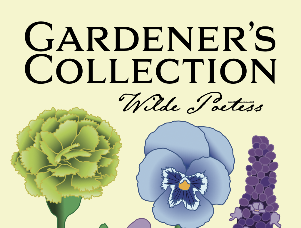 Seed Packaging Design