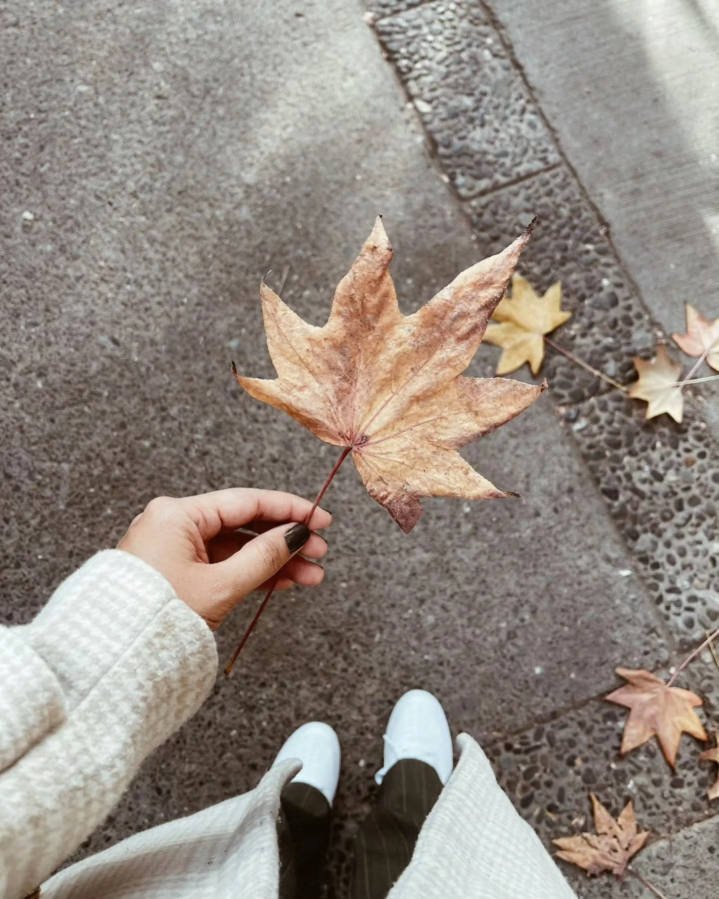 Thankful.

Thankful for the evidence of His goodness all over my life.

Even in the days I've doubted.

Even during the days that weren't the best, didn't seem fair and those days that maybe felt downright rotten.

Even during days of joy and wins. 
