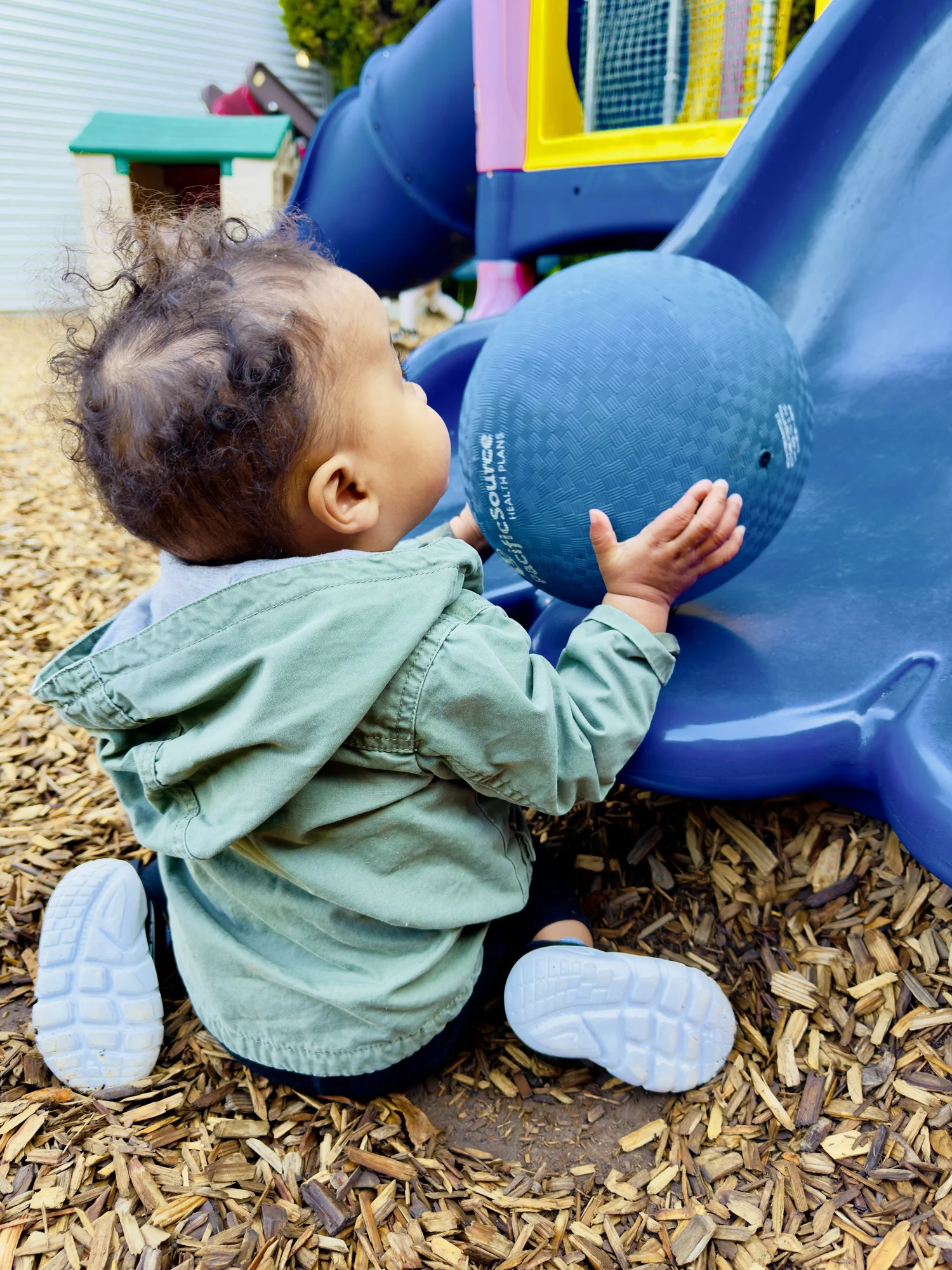 Springfield Learning Tree