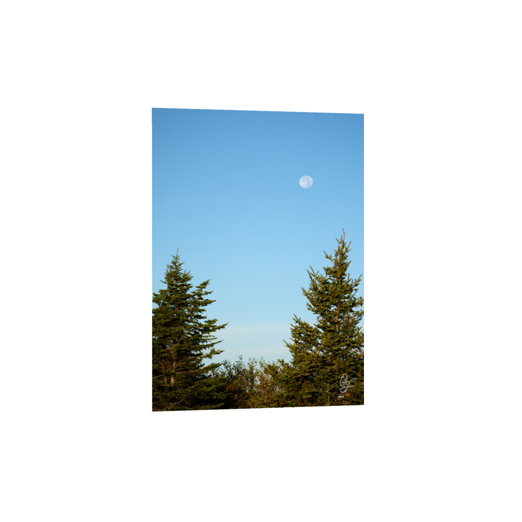 ptq_1_7_0_137_1365_1911_0_false_ffffff_0_0_.png