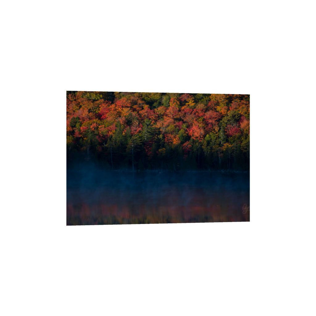 ptq_1_7_97_0_1911_1365_0_false_ffffff_0_0_.png