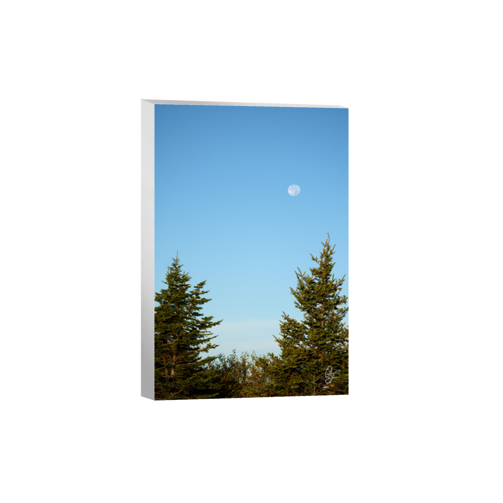 ptq_7_3_0_0_1365_2047_0_false_ffffff_0_0_.png