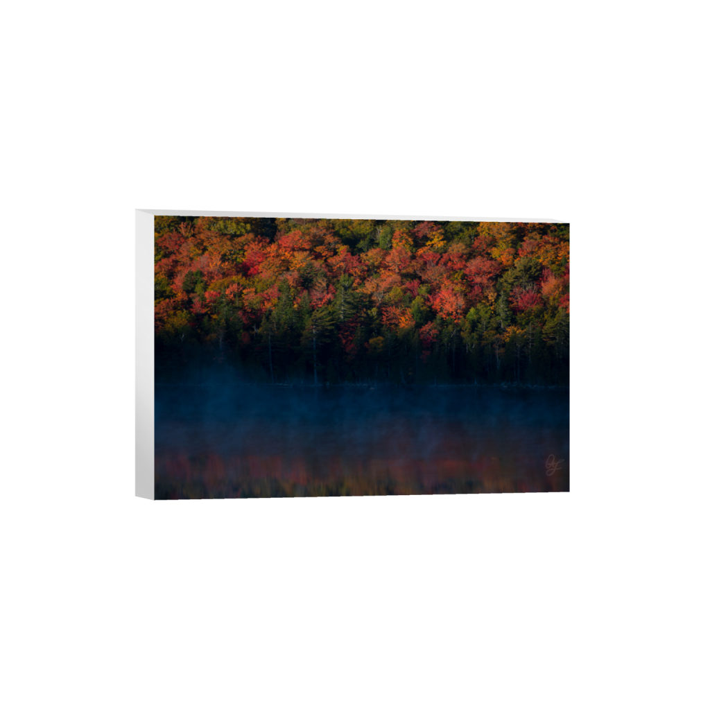 ptq_7_3_0_0_2047_1365_0_false_ffffff_0_0_.png