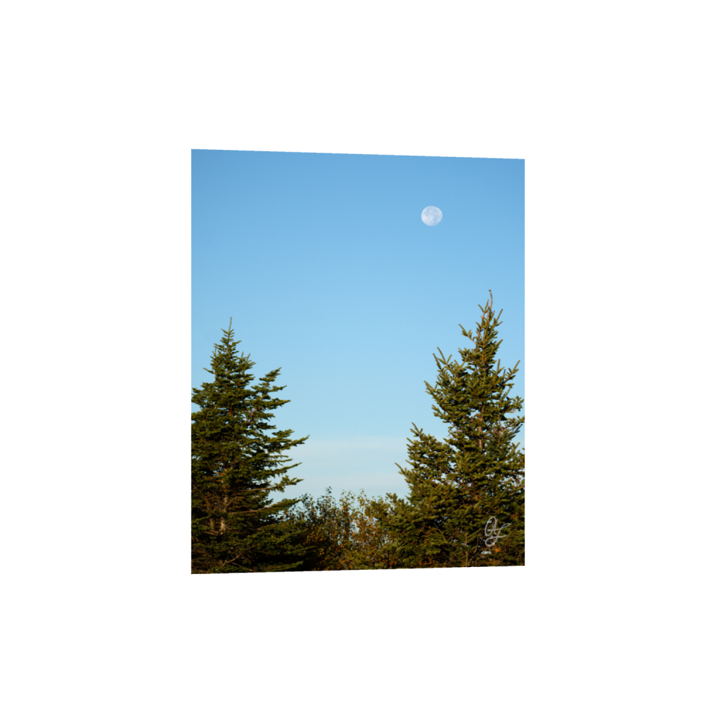 ptq_34_6_0_342_1365_1706_0_false_ffffff_0_0_.png