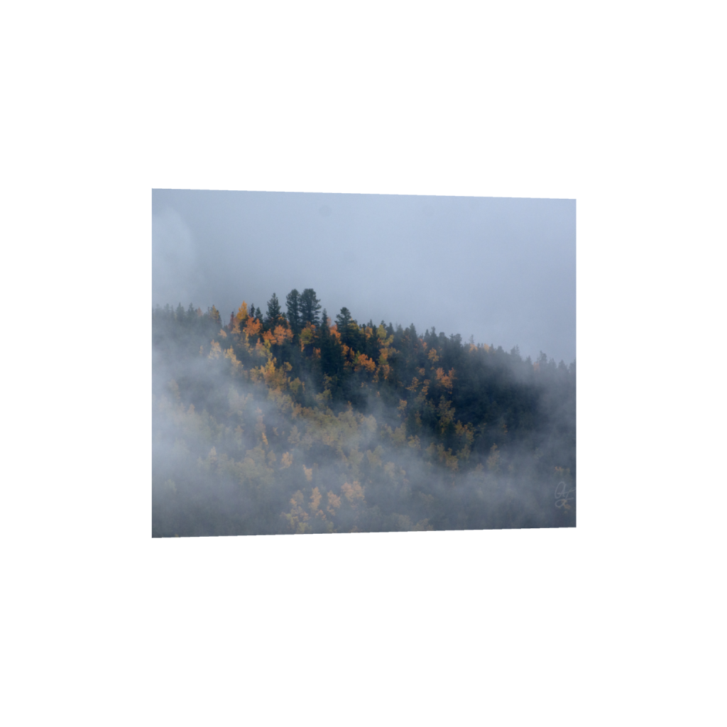 ptq_34_6_302_0_1706_1365_0_false_ffffff_0_0_.png