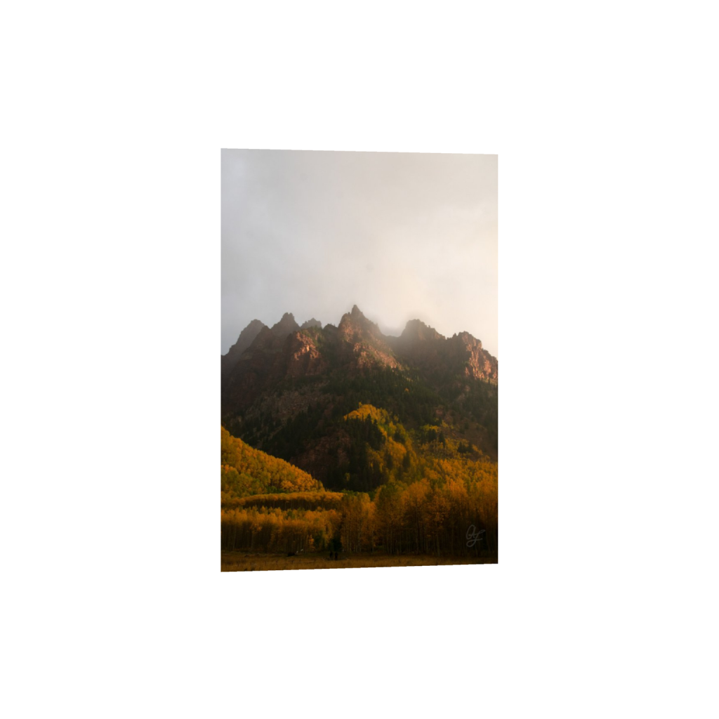 ptq_34_3_98_0_1365_2048_0_false_ffffff_0_0_.png