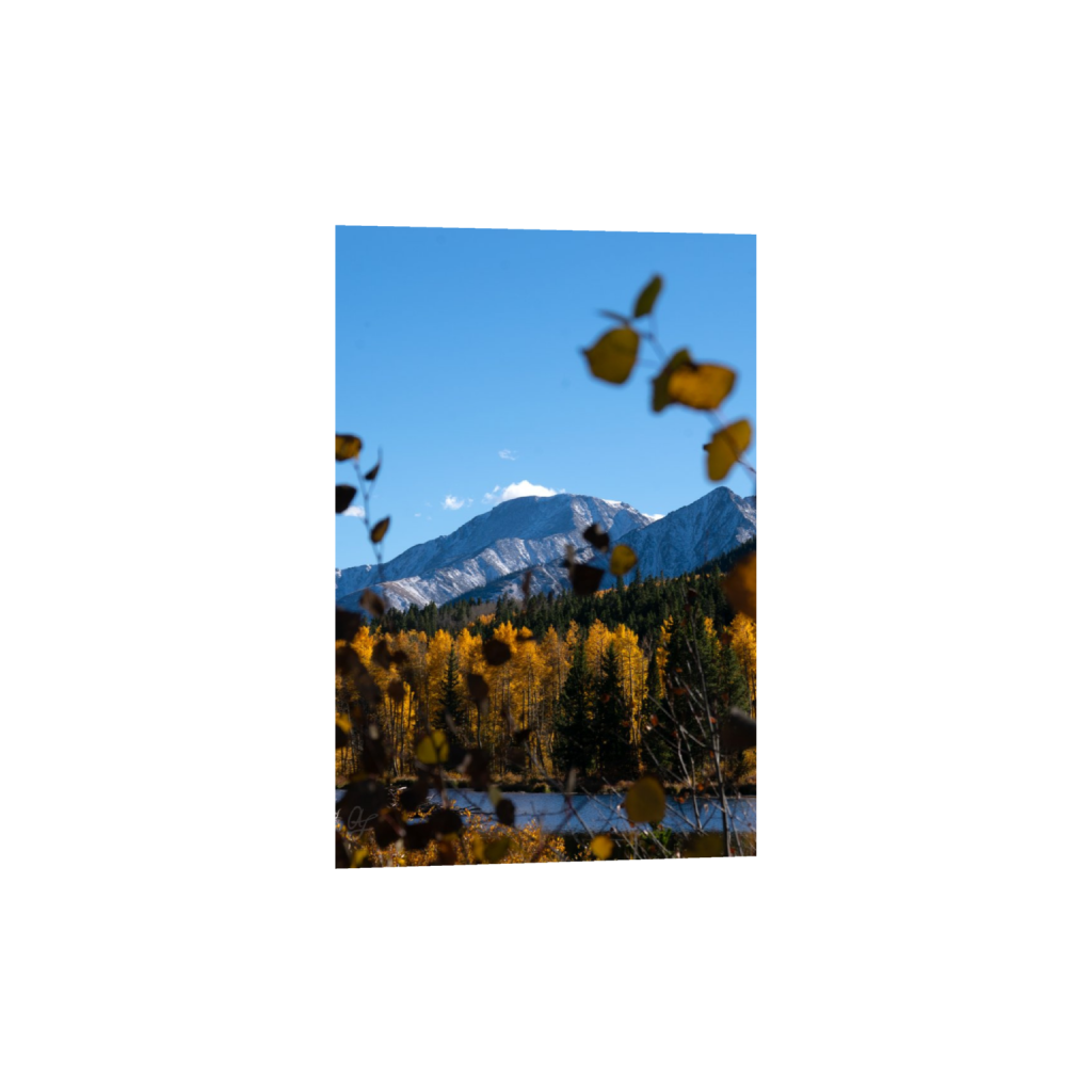 ptq_34_3_48_0_1365_2048_0_false_ffffff_0_0_.png