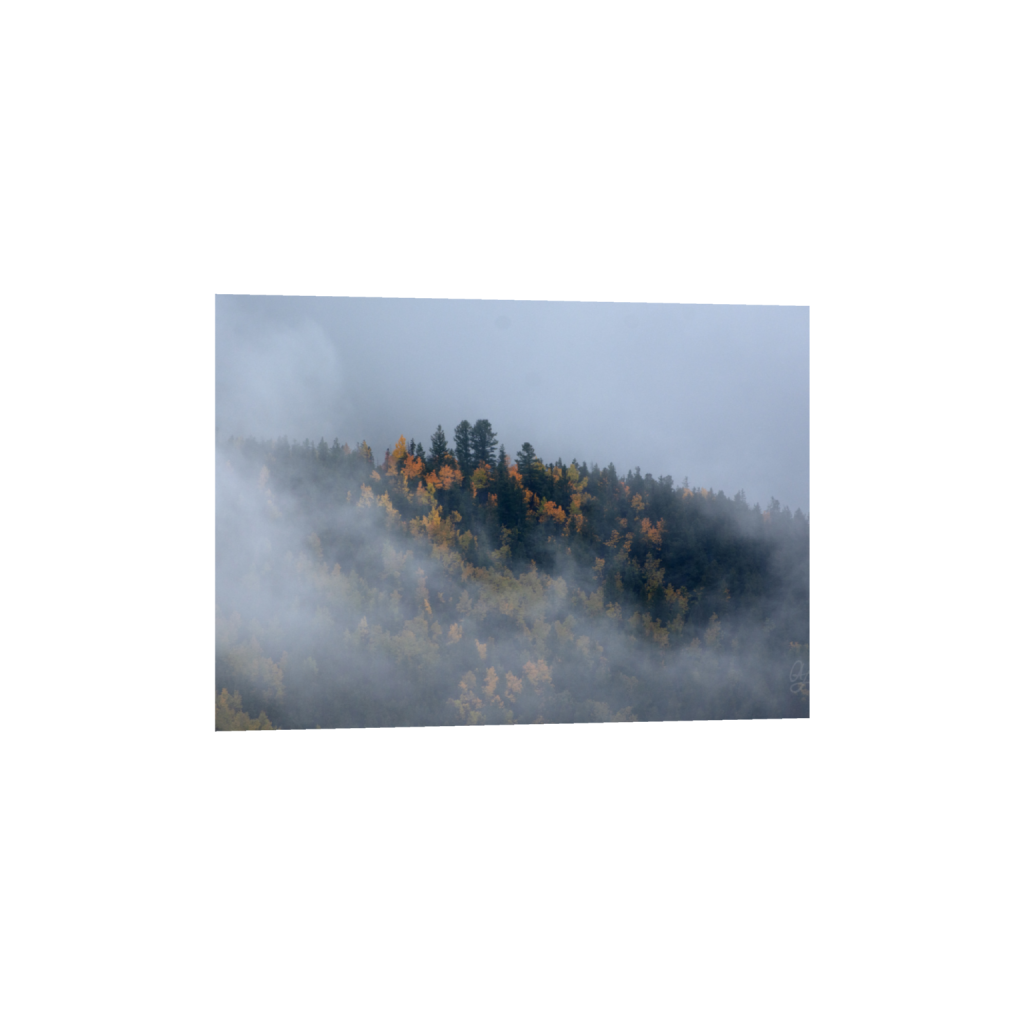 ptq_1_7_84_0_1911_1365_0_false_ffffff_0_0_.png