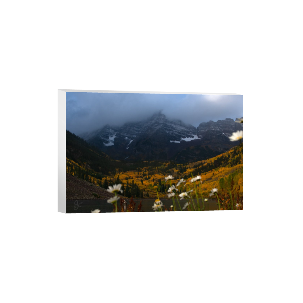 ptq_7_3_0_48_2048_1365_0_false_ffffff_0_0_.png