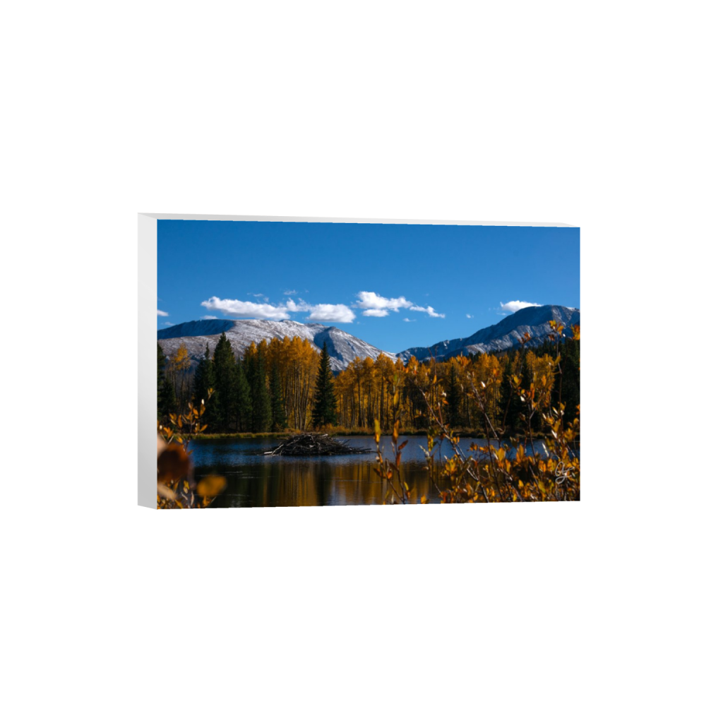 ptq_7_3_0_98_2048_1365_0_false_ffffff_1_1_.png