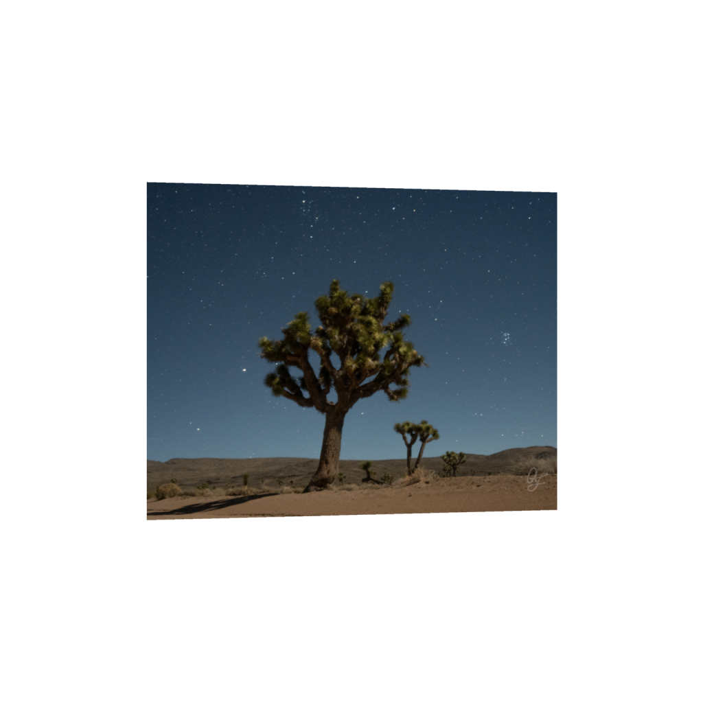 ptq_34_6_226_0_1828_1463_0_false_ffffff_0_0_.png