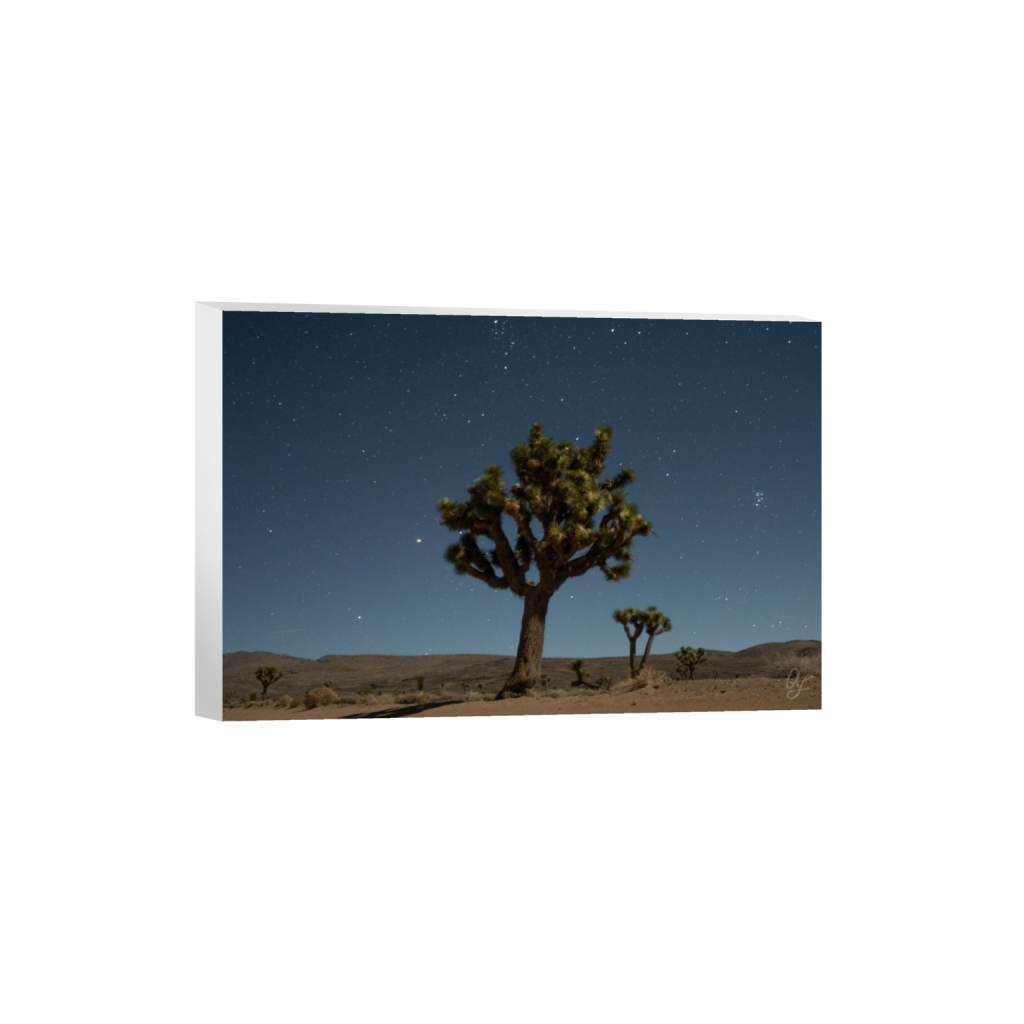 ptq_7_3_0_48_2048_1365_0_false_ffffff_0_0_.png