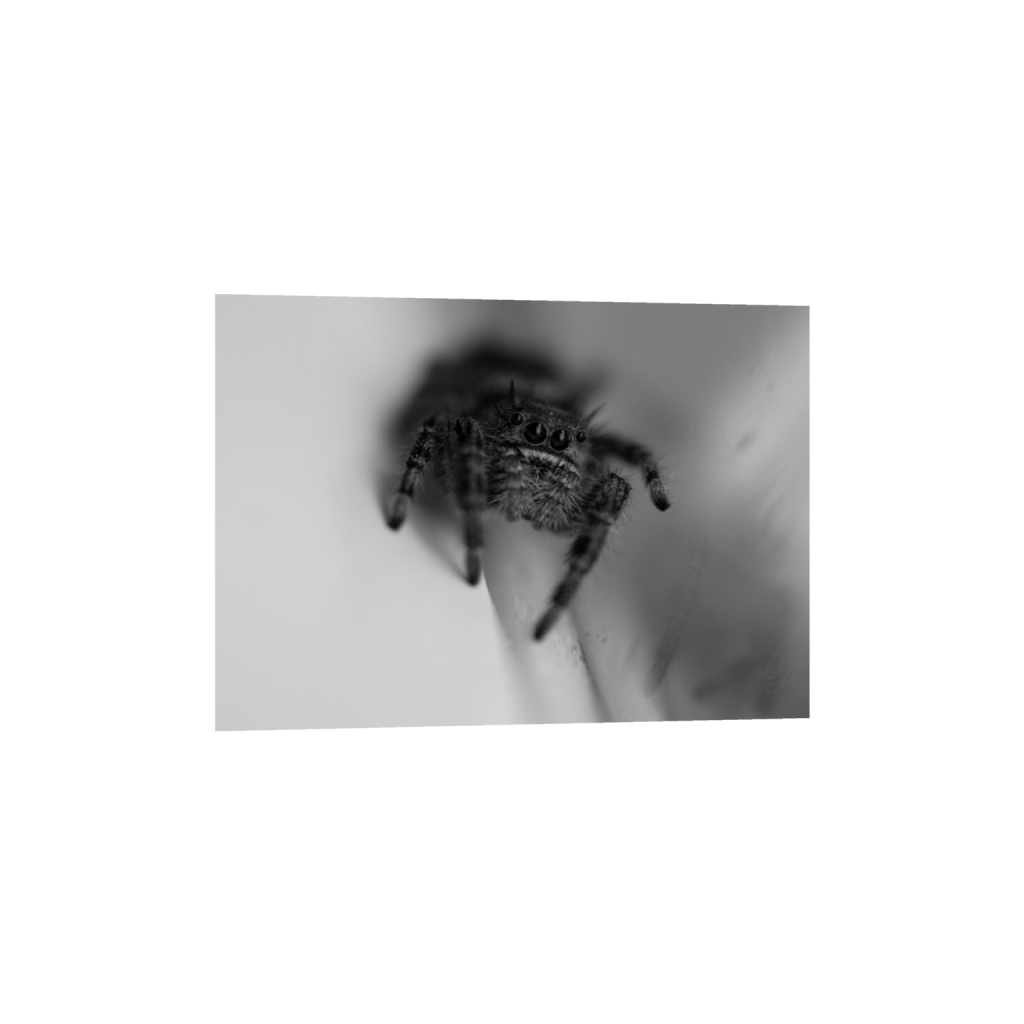 ptq_1_7_1_0_2048_1462_0_false_ffffff_0_0_.png