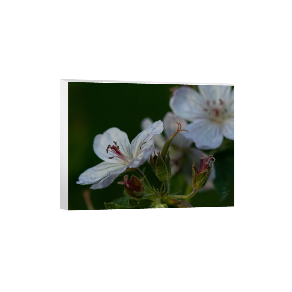 ptq_7_5_544_0_4266_3200_0_false_ffffff_0_0_.png