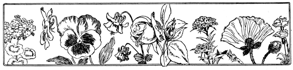 Black and white line drawing of various flowers, including pansies, roses, and poppies, arranged in a horizontal border.