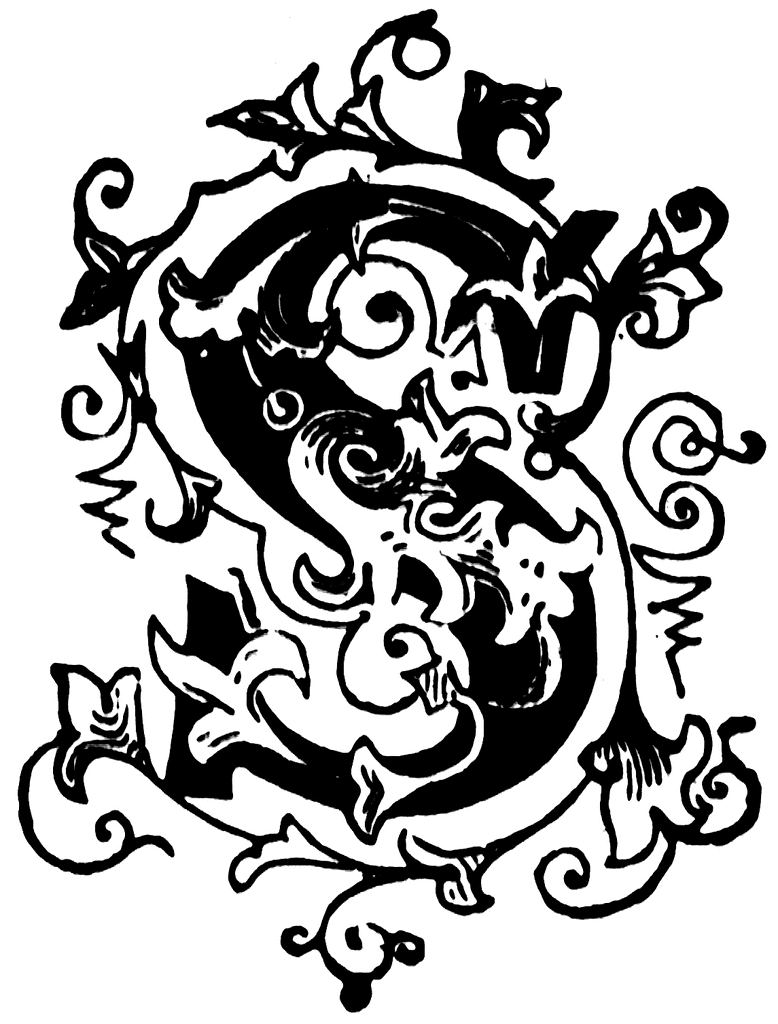 S Script