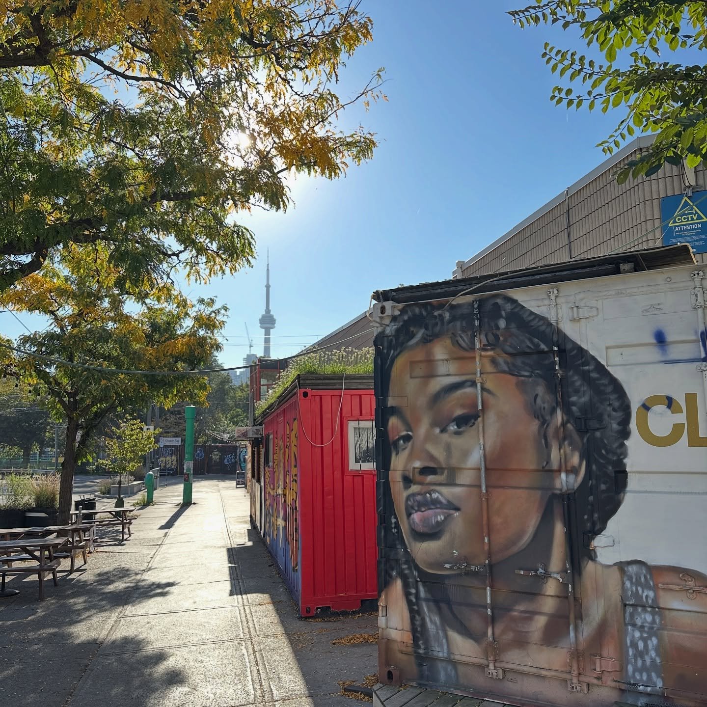 ☀️🕶️

#happyfriday #toronto