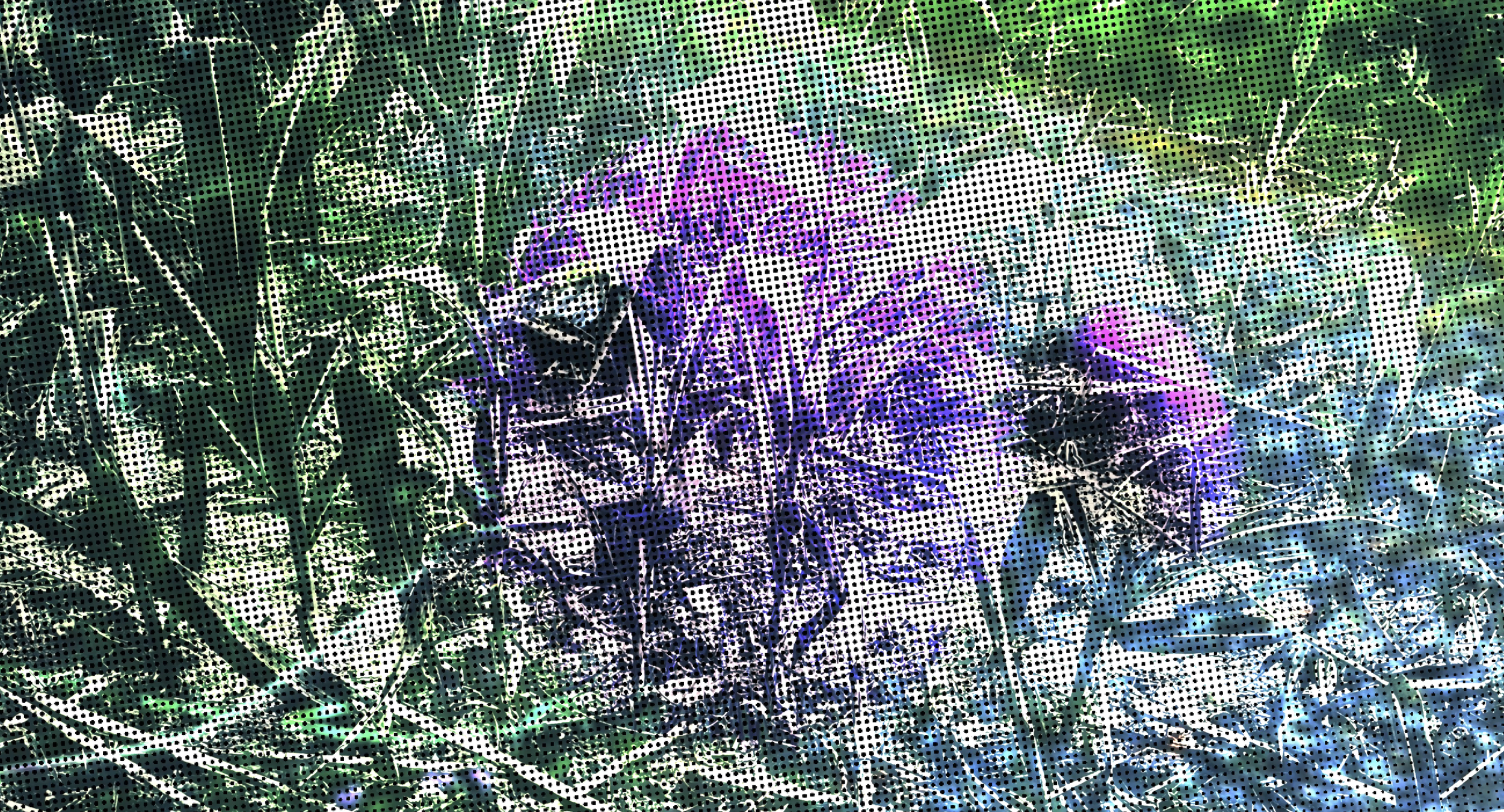 bee business: animation experiment