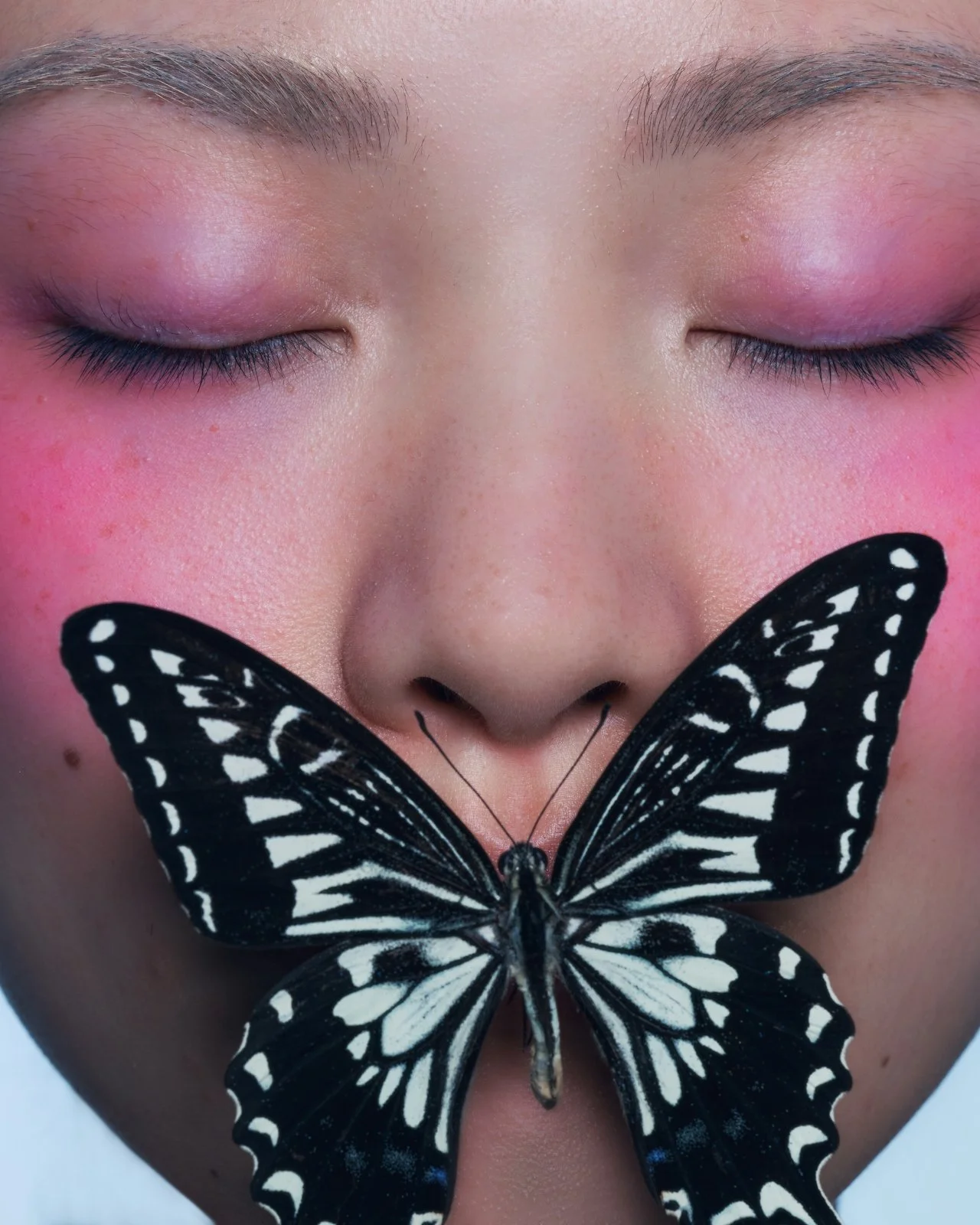 Finding Stillness: Why It Matters for Mental Health and How to Create It in Your Day