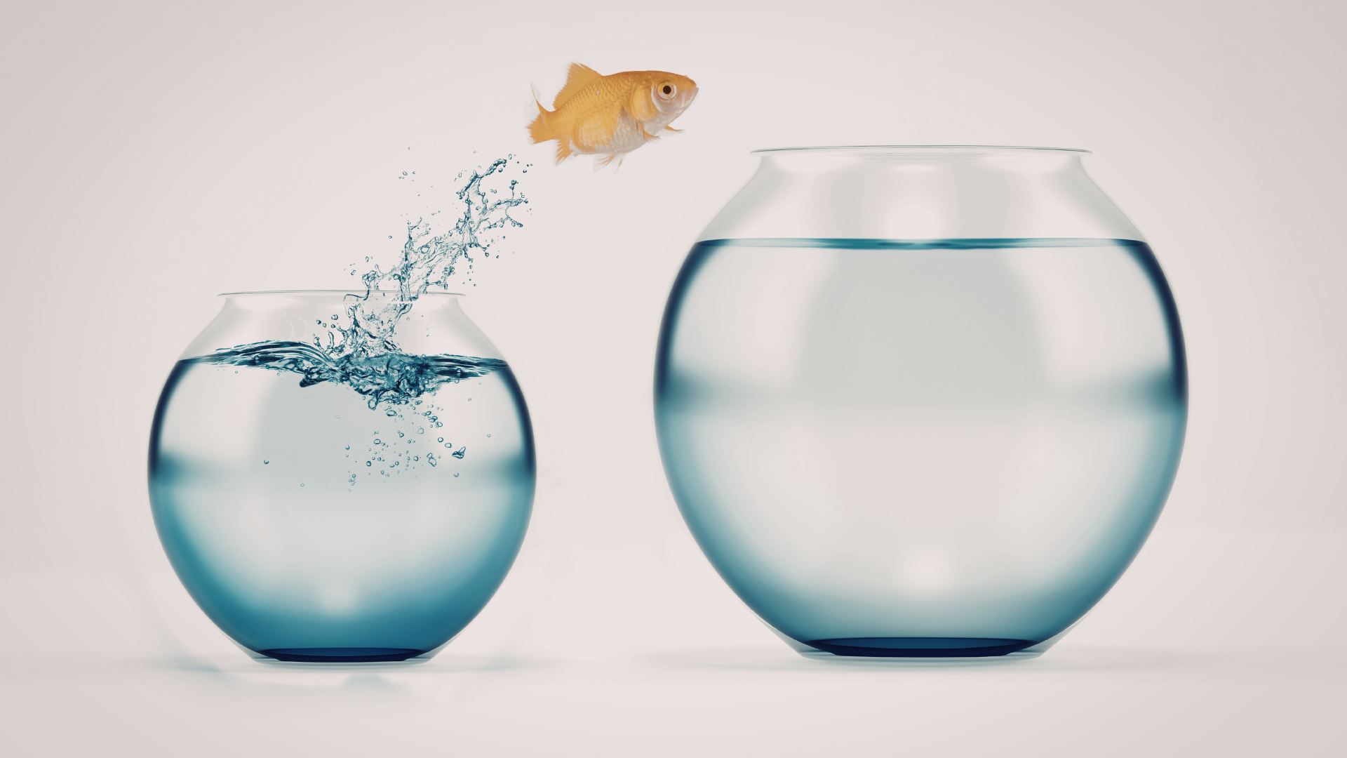 CAMINOS DE TRANSICIÓN