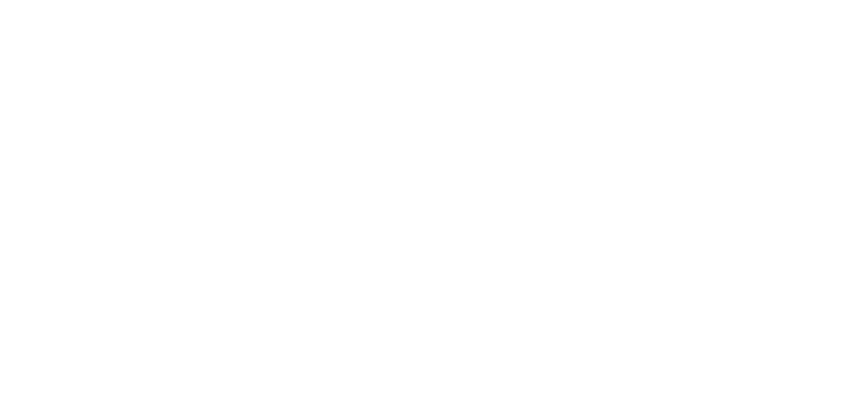 SunCity E-Bikes