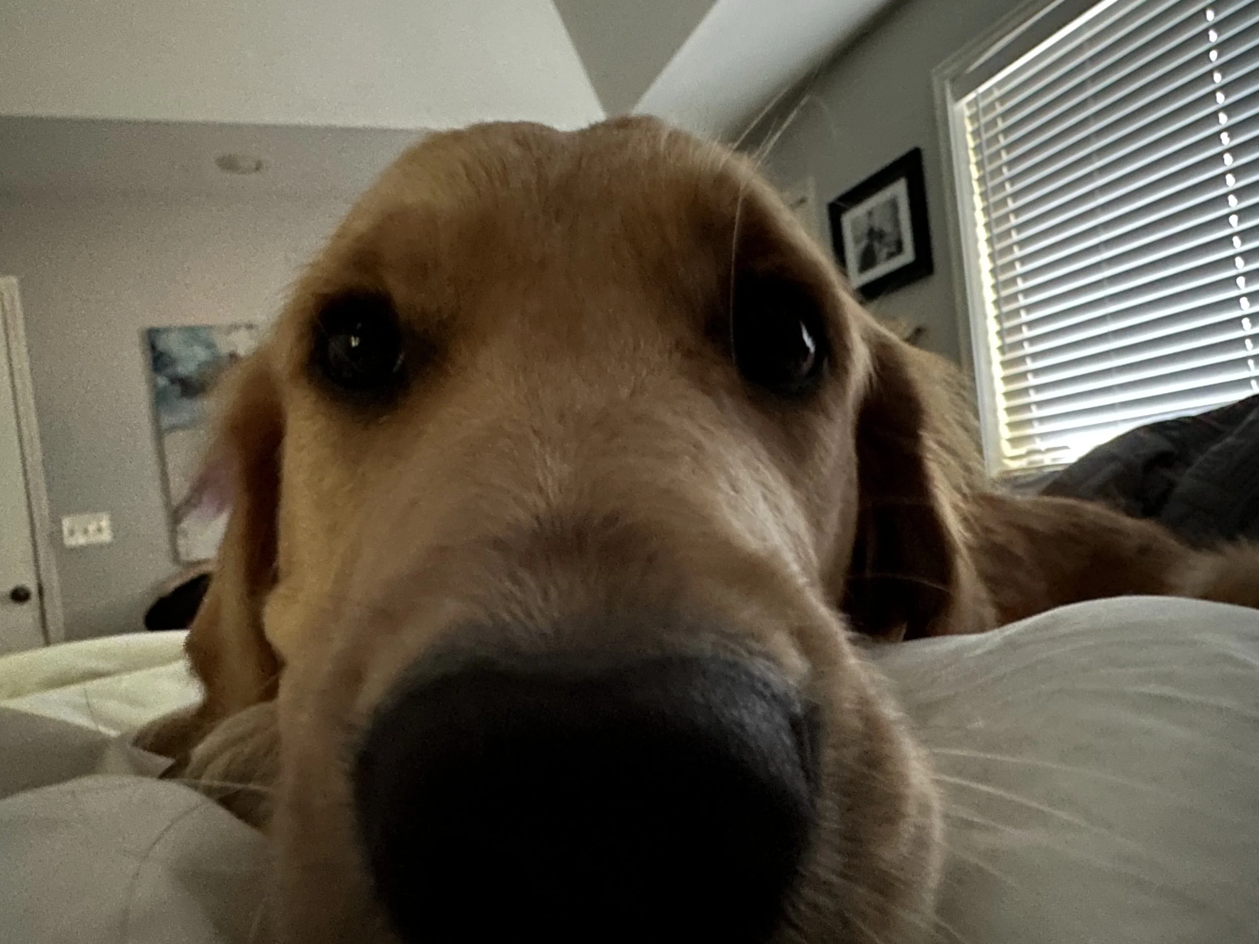 IMG_2867.jpeg