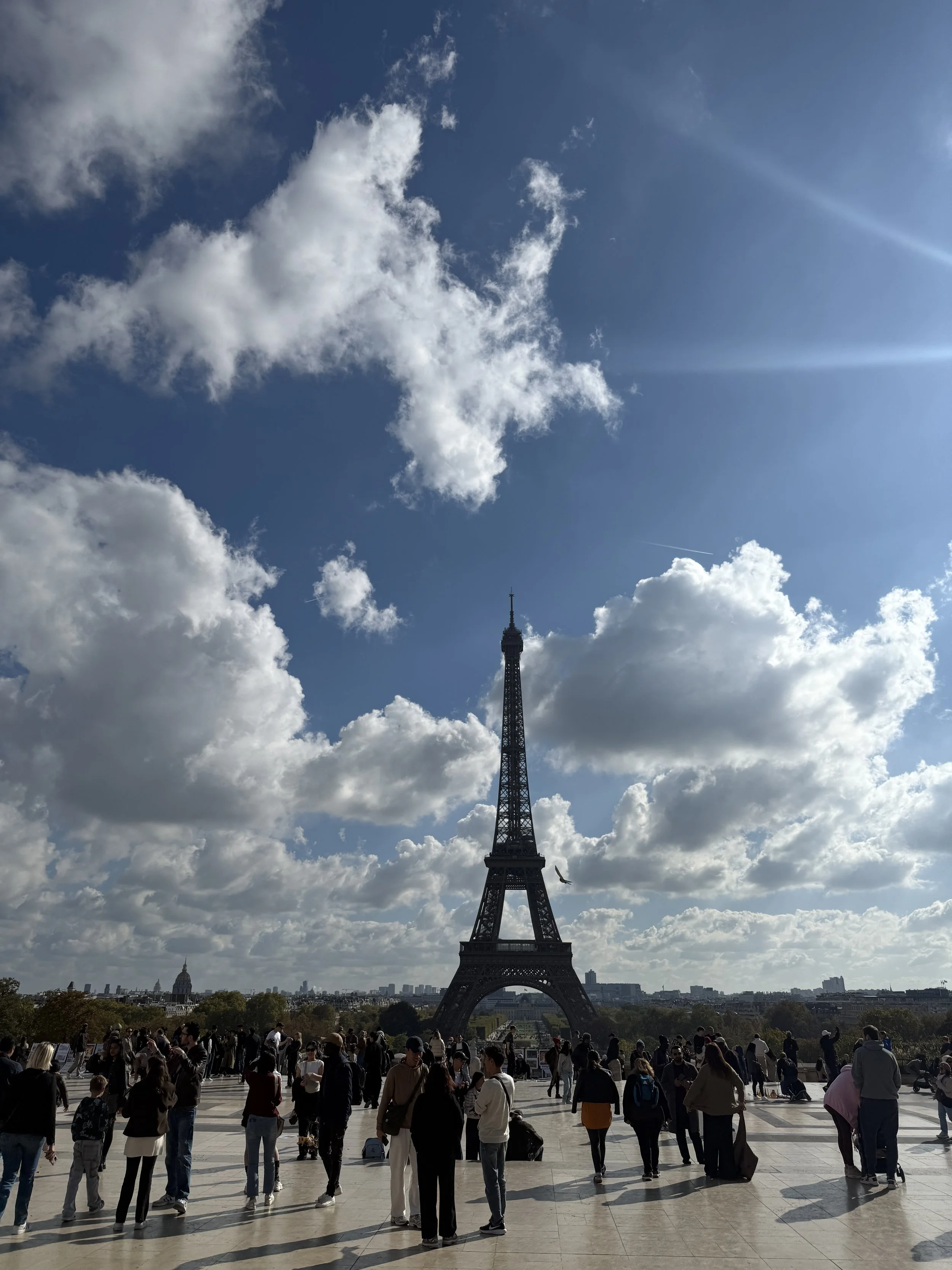 Who posted a painting to Paris