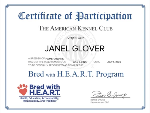 Janel Glover AKC Bred with H.E.A.R.T. certificate, July 2025–July 2026