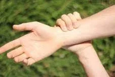 Ayurveda Pulse Class