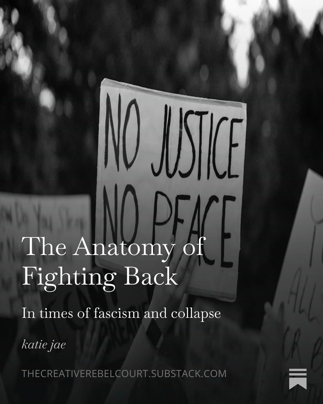 &bull; The Anatomy of Fighting Back - In times of f@scism and collapse &bull;

I wrote a short essay on the psychological muck we are moving through. It&rsquo;s in my Substack ✍️ 

Here&rsquo;s an excerpt: 👇

&ldquo;Why is siding with the resistance