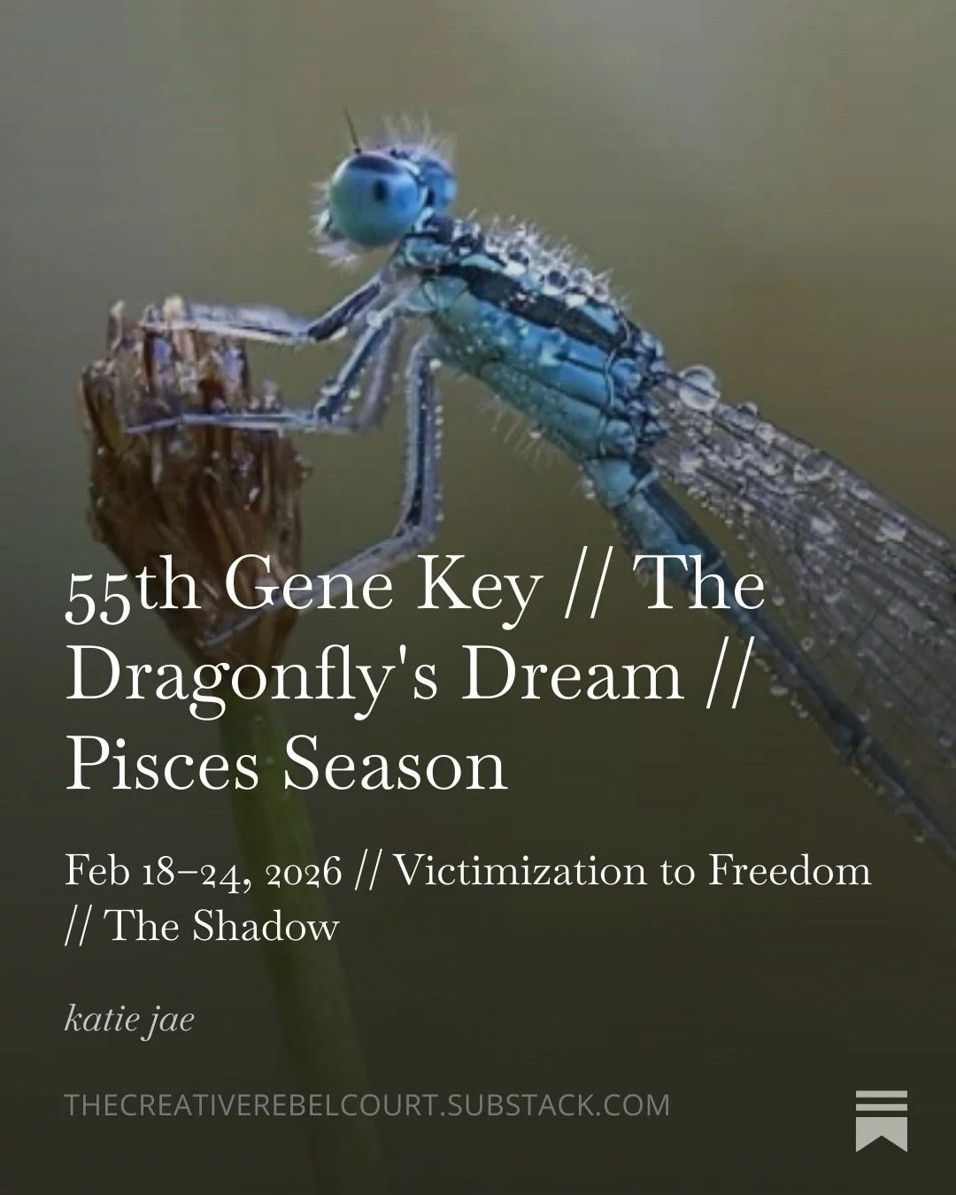 &bull; 55th Gene Key // The Dragonfly&rsquo;s Dream // Pisces Season &bull;

Feb 18&ndash;24, 2026 // Victimization to Freedom // The Shadow

An excerpt from my newest Substack article 👇

🗝️ Welcome to your weekly Gene Key report! 

Honestly, when 