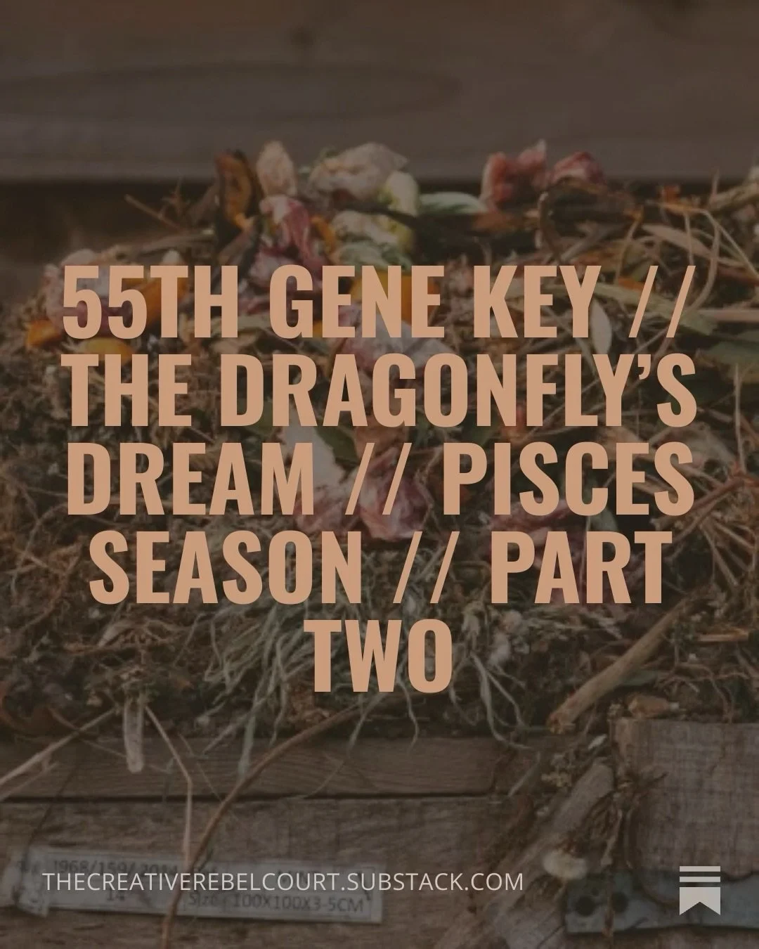 &bull; but dragonflies, holy wowza &bull;

55th Gene Key // The Dragonfly&rsquo;s Dream // Pisces Season : PART TWO

Reading the story of how dragonflies come into being is nothing short of mystic. The story feels like a transmission 🐉 A map through