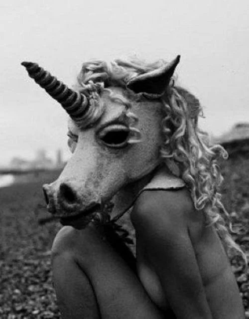 ☕️ mood board for the next chapter ☕️

🌿 allowing myself to be seen + known

🌿 cultivating safety + deeper boundaries to hold my expansion 

🌿 restructuring ::the creative rebel court:: into semesters. offering workshops + group containers

🌿 ope