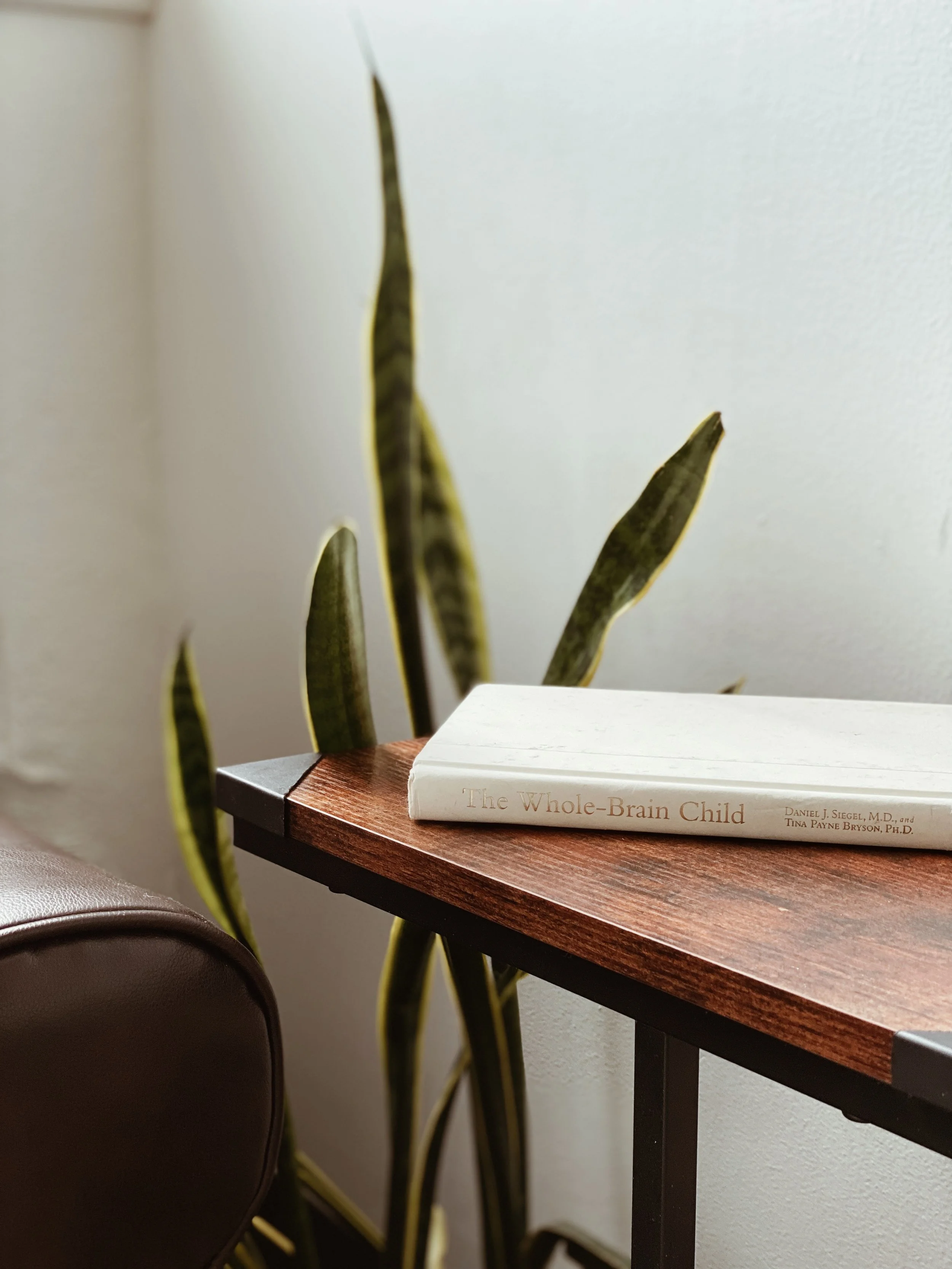 Intentional Self Counseling, Coaching, and Consultation