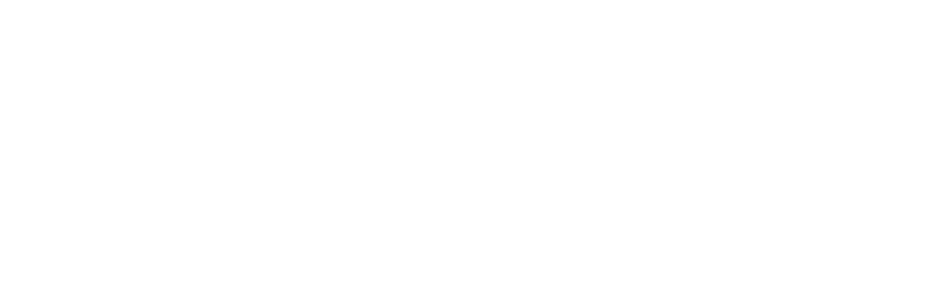 Imaginet logo