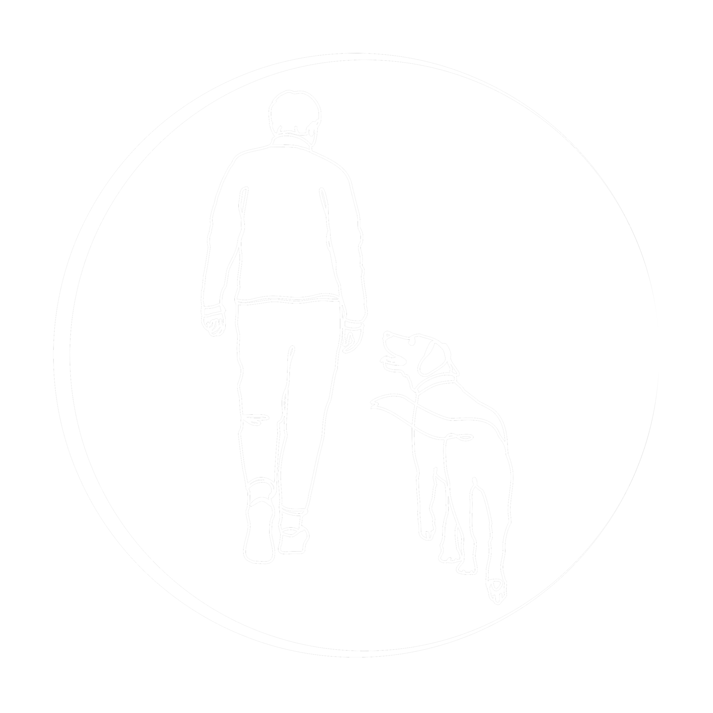 Individuelles Hundetraining Berlin | Dein TEAM Timeout
