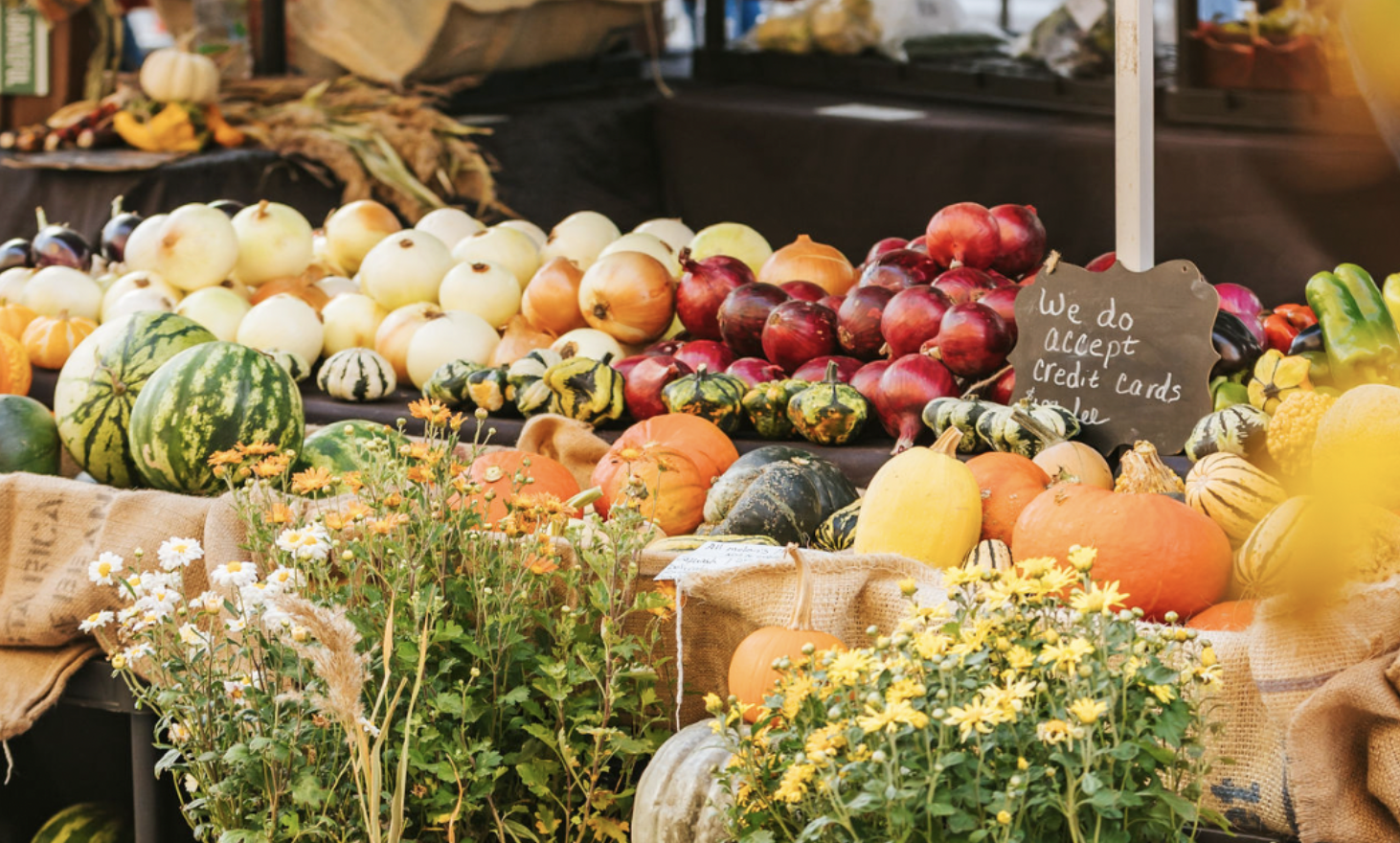 Harvest Fest presented by Sanford Health