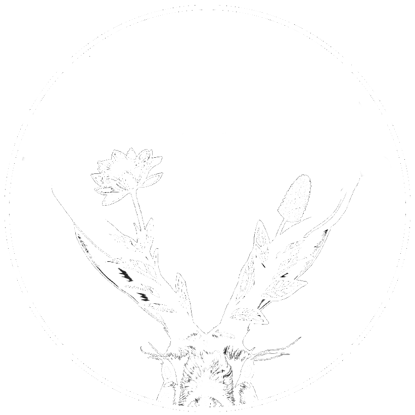 Jackelope Floral Co.