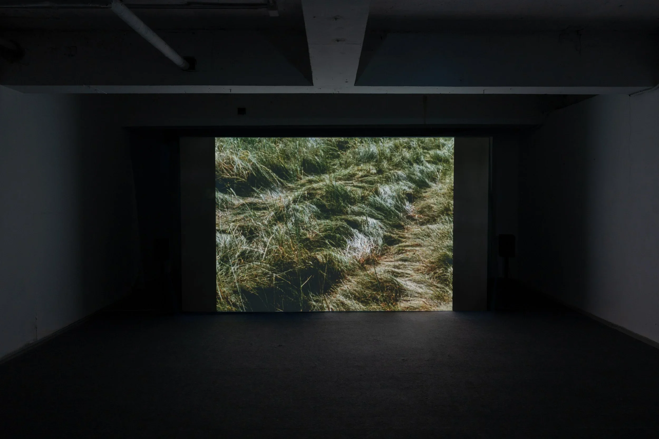 Exhibitionview at Busan International Video Art Festival, 2024, Republic of Korea