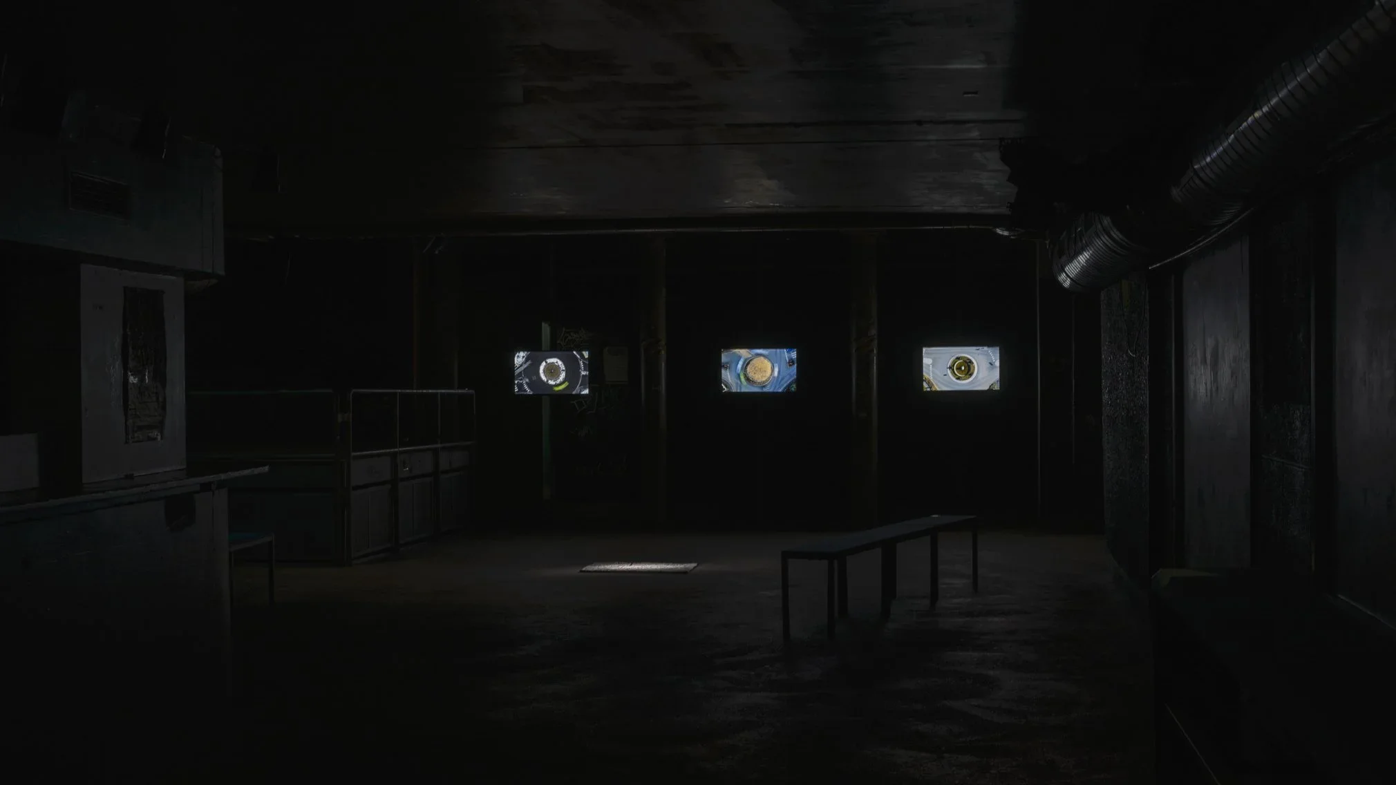 exhibtionview fluc, the story repeat itself