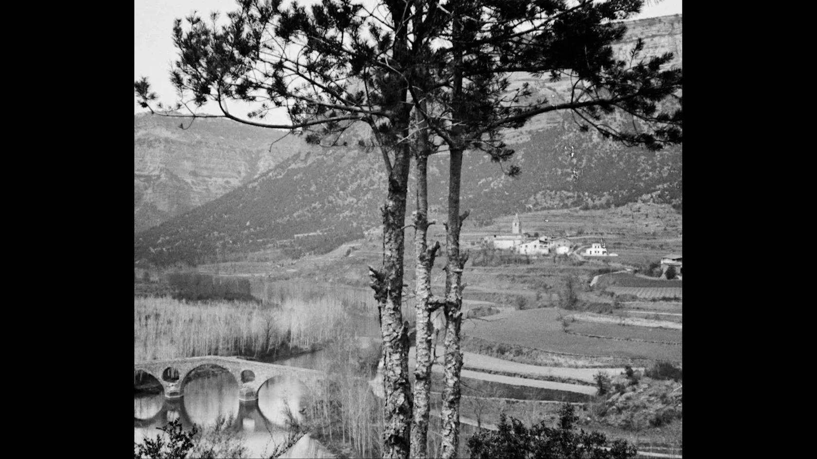 swallowed matter - videostill