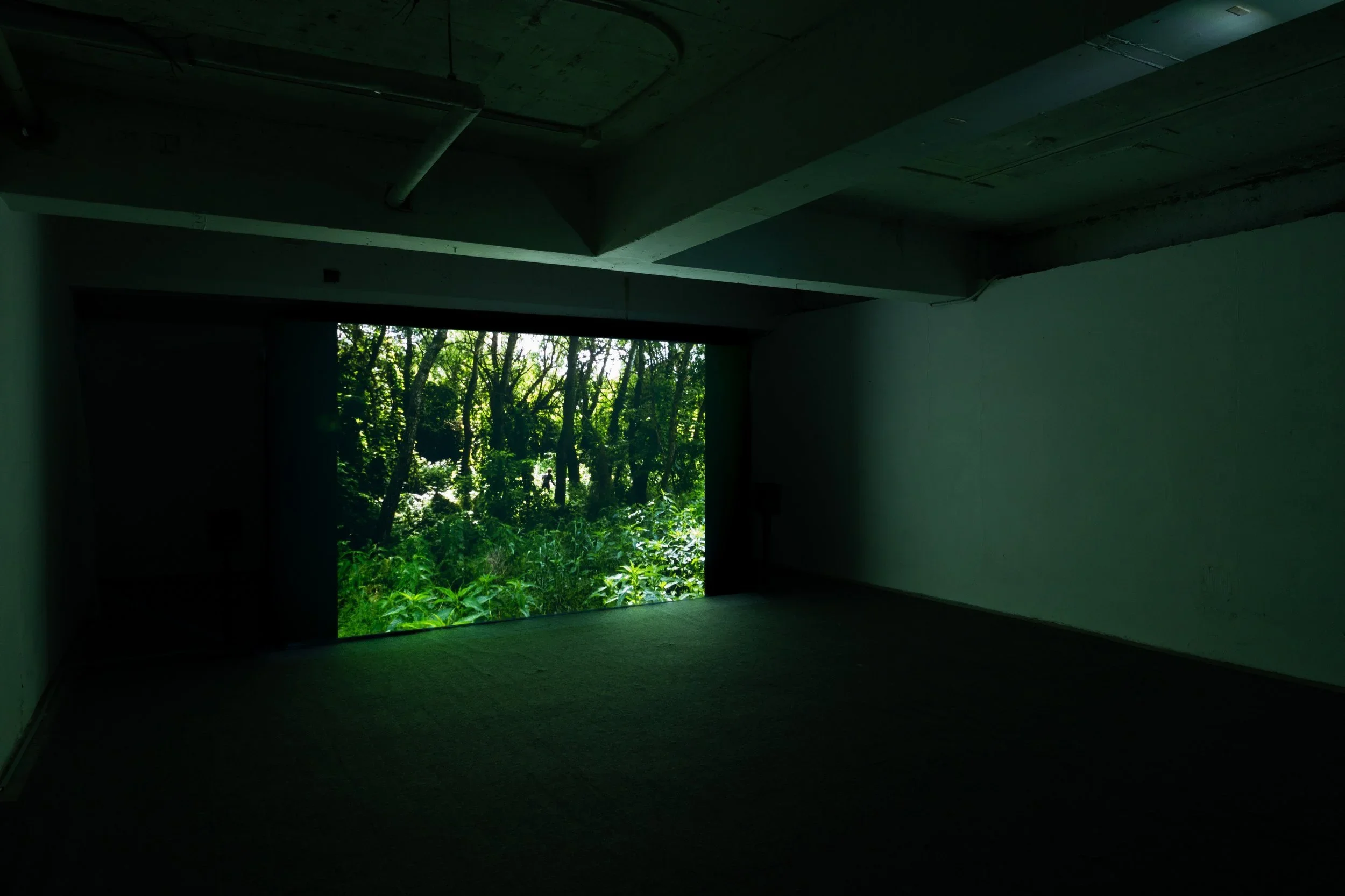Exhibitionview at Busan International Video Art Festival, 2024, Republic of Korea