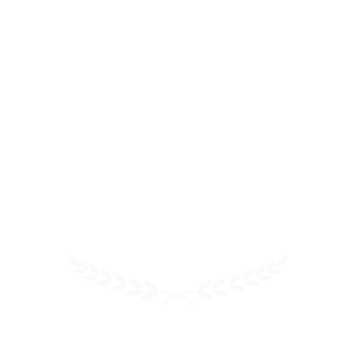 Play Pro Tennis (Copy) (Copy)