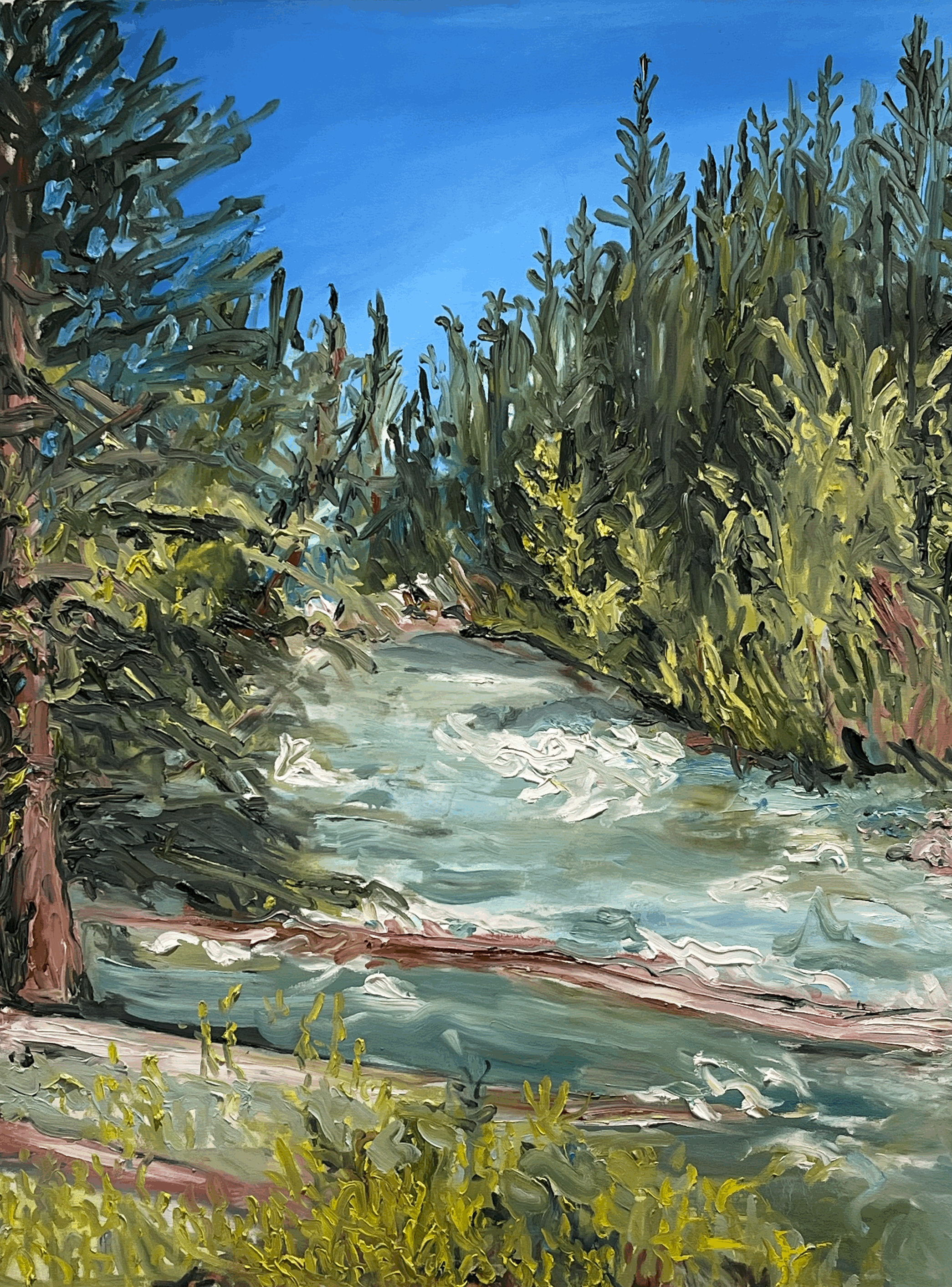 West Boulder River