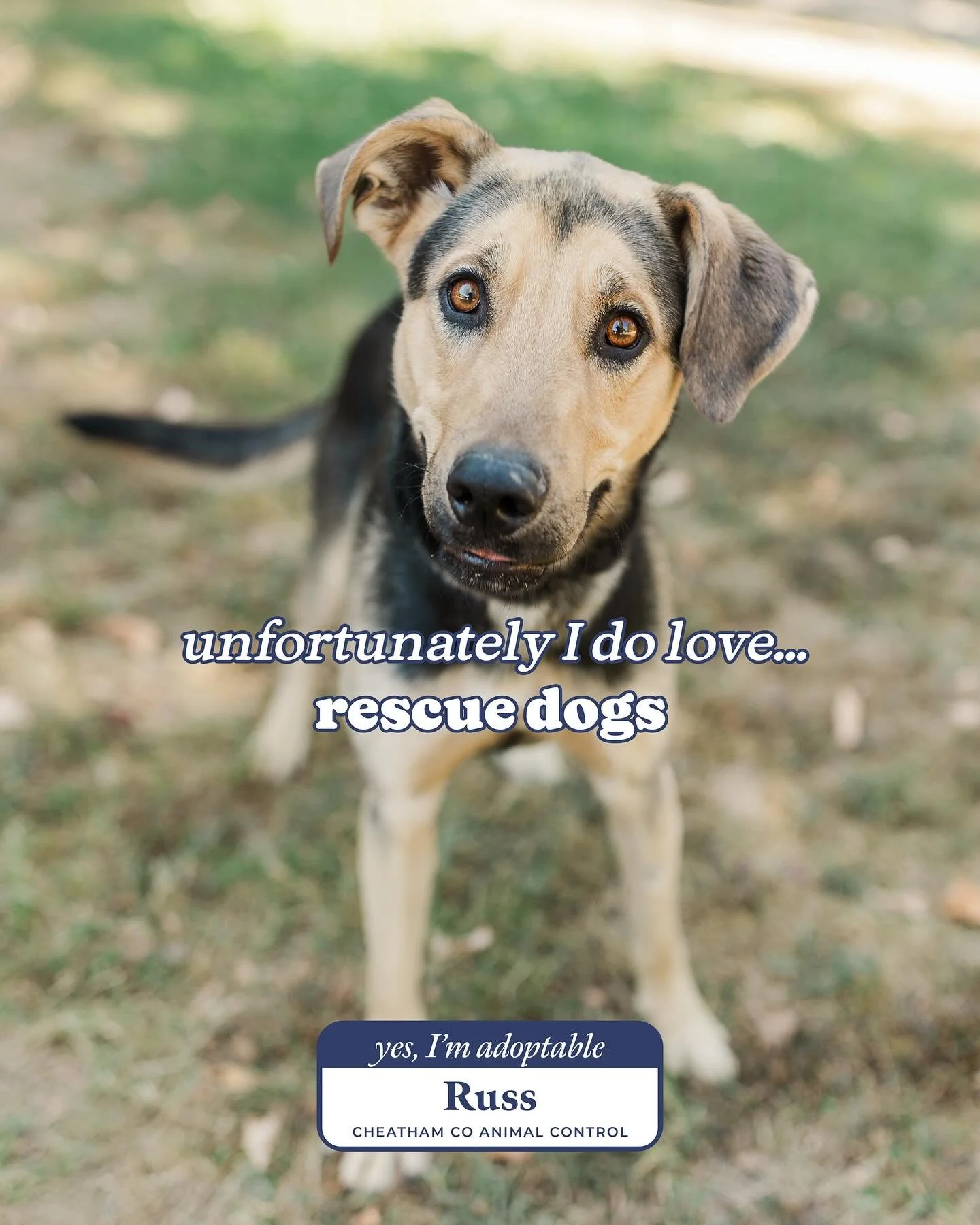 We love the good and the bad of dog ownership. 

We choose to love fiercely despite knowing they won&rsquo;t be here forever. 

We love completely even when it&rsquo;s challenging. 

We will return the unconditional love from the dogs we&rsquo;ve bee