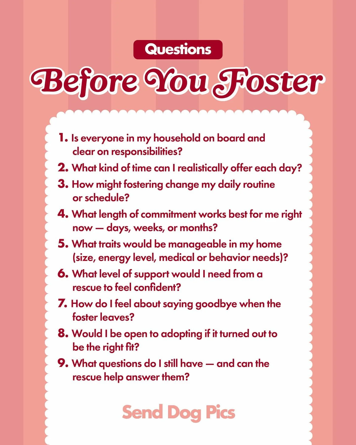 If fostering has ever crossed your mind, these questions are a good place to start. 

Fosters, sound off in the comments if there are more questions you would add to the list!

#senddogpics #fosteringsaveslives #adoptdontshop❤️ #fosteradog #fostercat