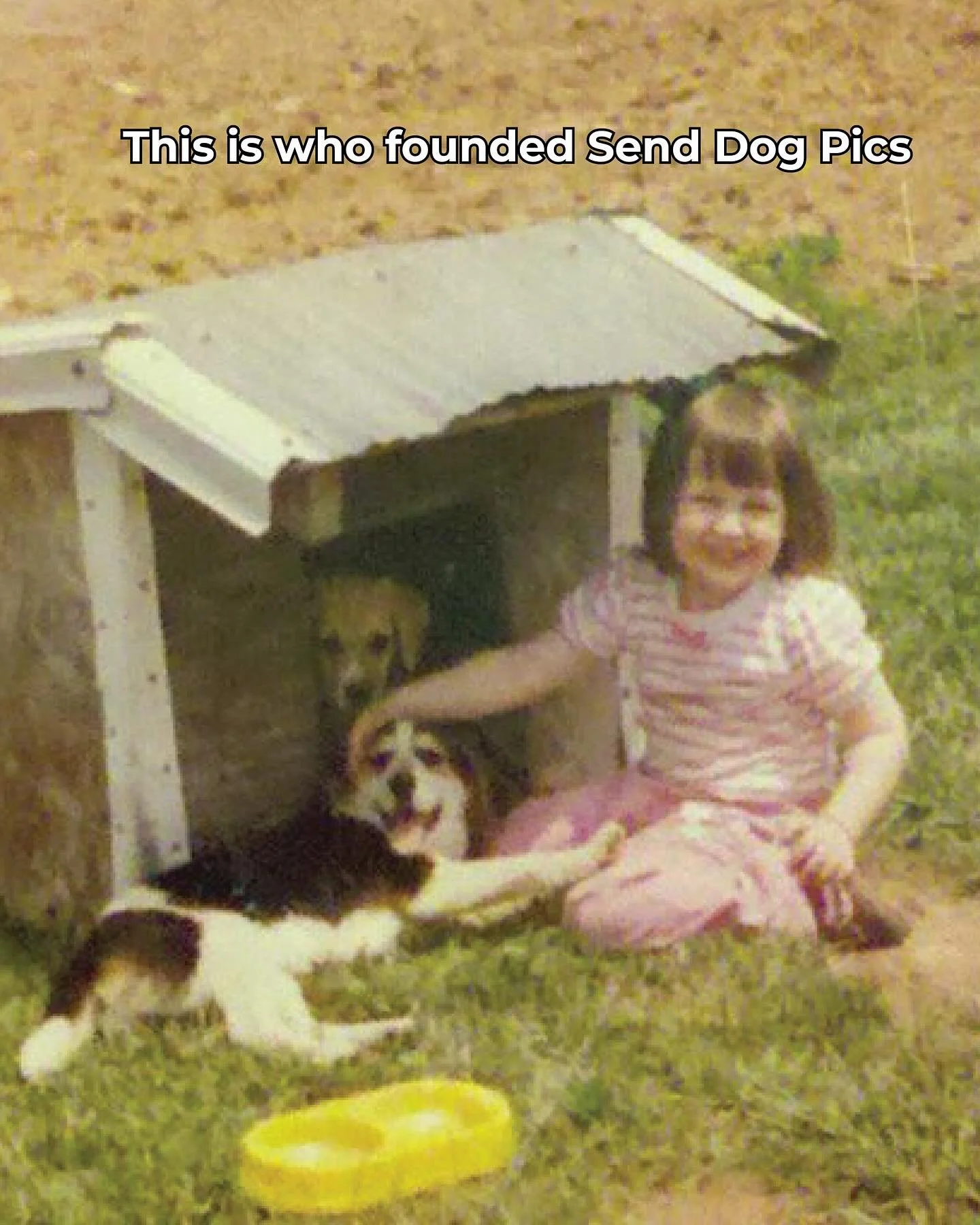 Y&rsquo;all down for a walk down memory lane?

Here&rsquo;s our take on the latest trend. So thankful for all the steps that got us off the ground and can&rsquo;t wait for this coming year of growth and saving more dogs!

#senddogpics #adoptdogs #nas