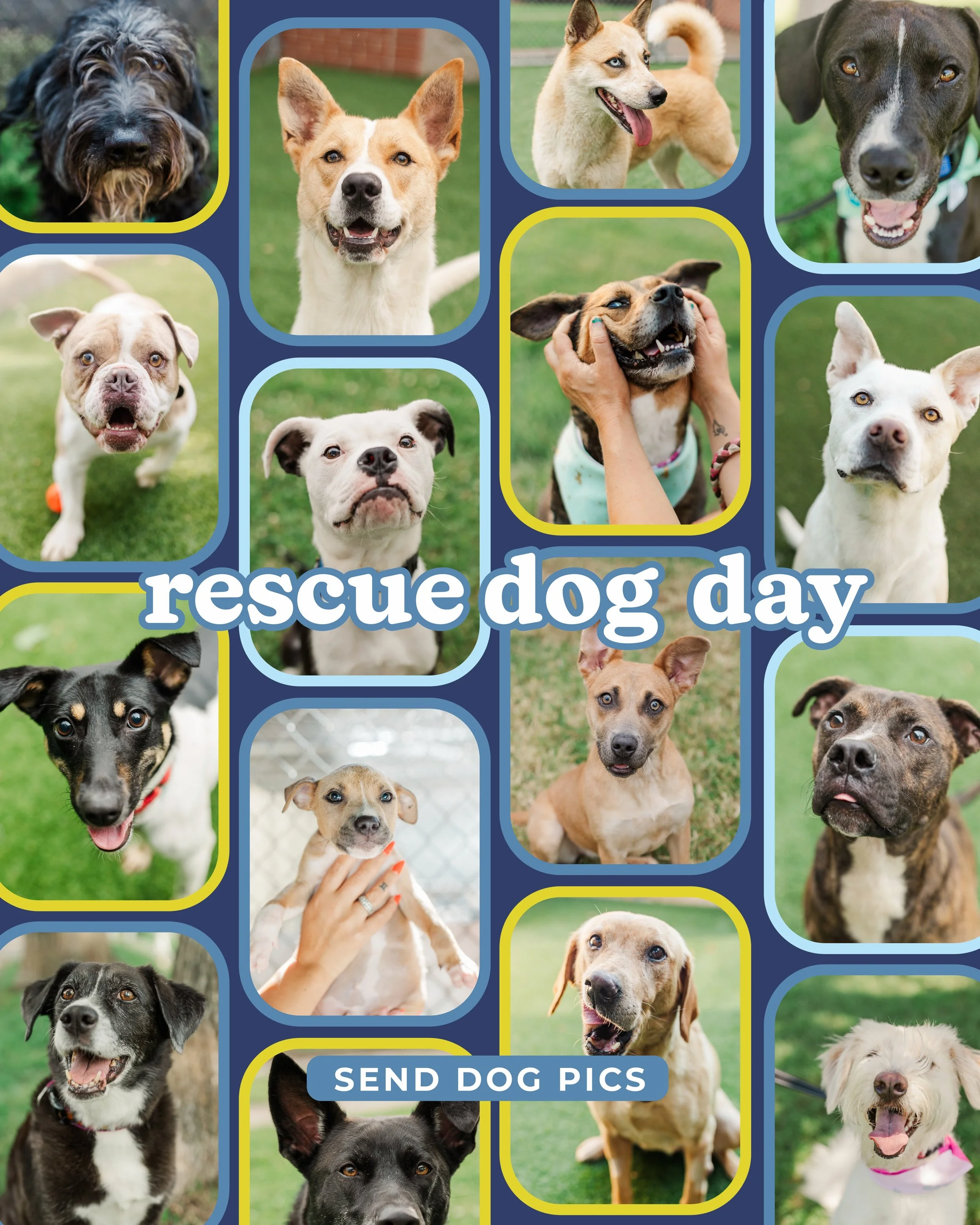 Happy national rescue day to the dogs that chose us back.

Every dog is one of a kind but shares a piece of their story &mdash; resilience, a second chance, and someone who showed up for them.

We dream of a day where every dog has a home and knows h